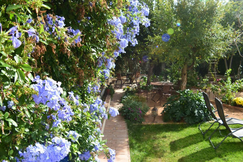 Carmen De Ramilla, Encantadora Guesthouse Con Piscina Soleada Granada Exterior photo